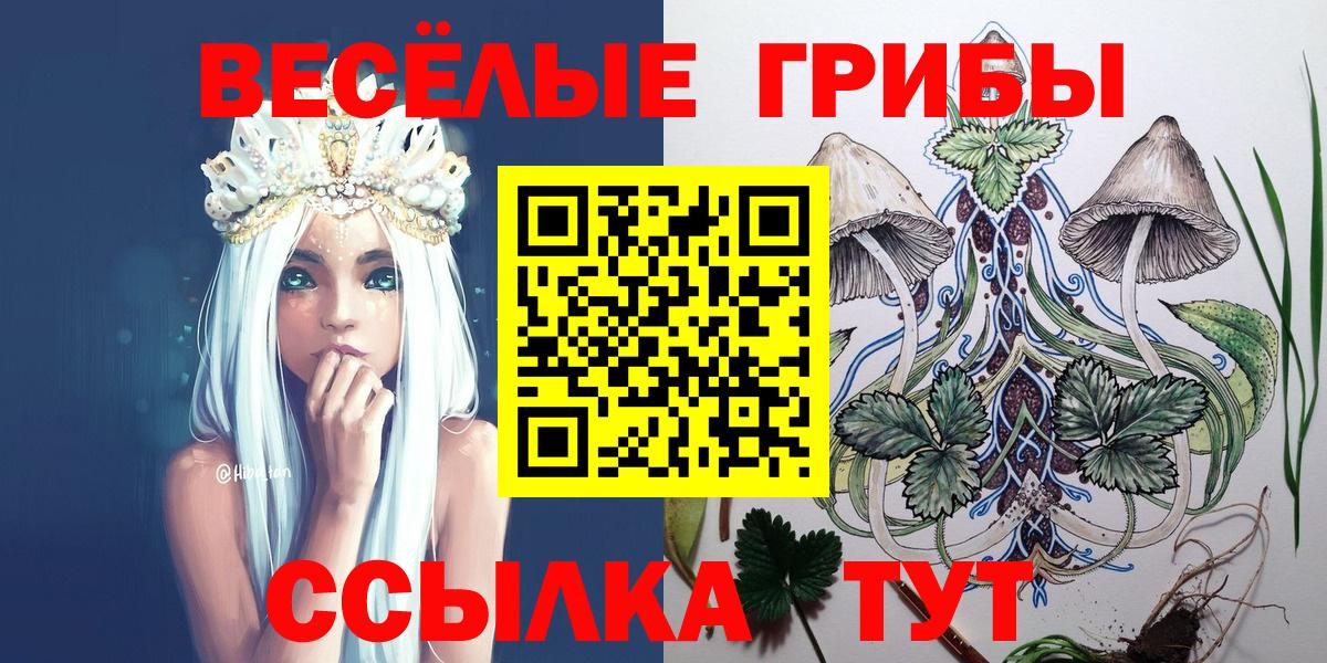 Галлюциногенные грибы GOLDEN TEACHER Кушва