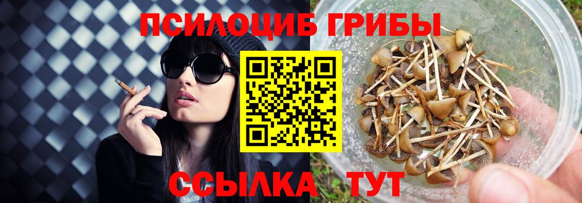 Псилоцибиновые грибы Psilocybine cubensis  Вход с VPN  Кушва 